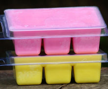 Load image into Gallery viewer, Soy Clam Melts - 6 Cavity
