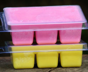 Soy Clam Melts - 6 Cavity